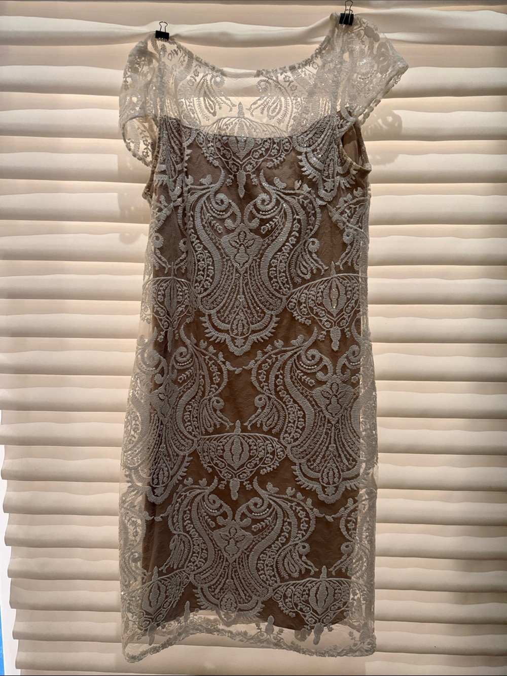 Roz & Ali Ivory Lace Midi Dress over Nude